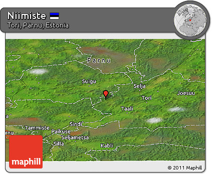 Satellite Panoramic Map of Niimiste