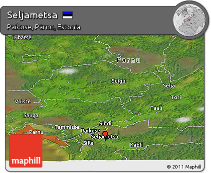Satellite Panoramic Map of Seljametsa