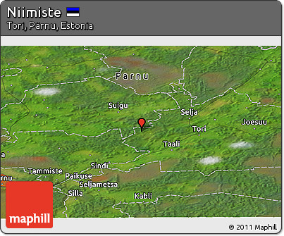 Satellite Panoramic Map of Niimiste