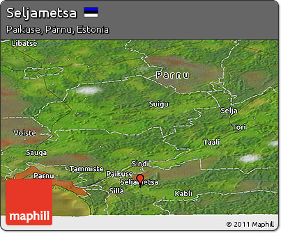 Satellite Panoramic Map of Seljametsa