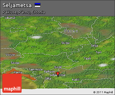 Satellite Panoramic Map of Seljametsa
