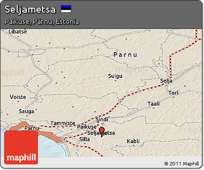 Shaded Relief Panoramic Map of Seljametsa