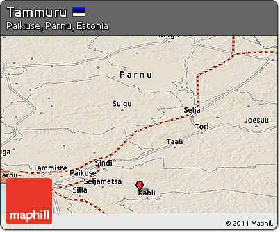 Shaded Relief Panoramic Map of Tammuru