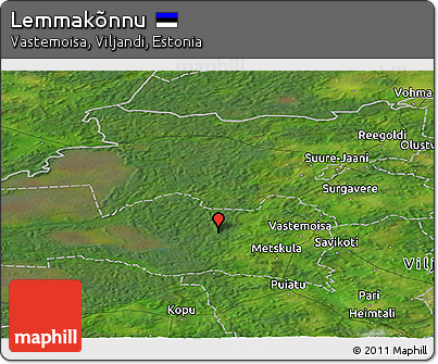 Satellite Panoramic Map of Lemmakõnnu
