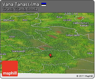 Satellite Panoramic Map of Vana Tänassilma