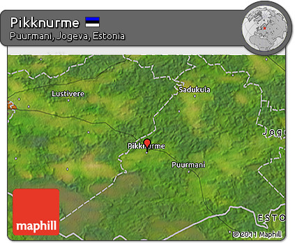 Satellite 3D Map of Pikknurme