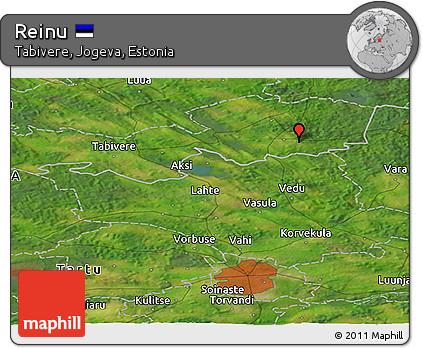 Satellite Panoramic Map of Reinu