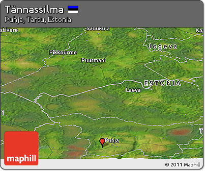 Satellite Panoramic Map of Tännassilma