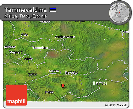 Satellite 3D Map of Tammevaldma