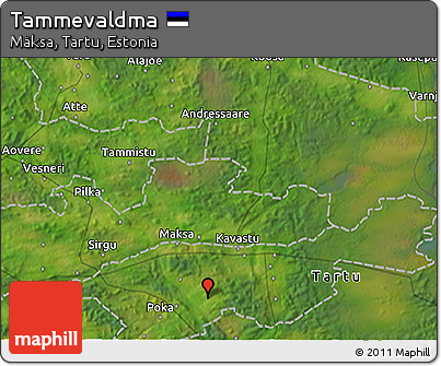 Satellite 3D Map of Tammevaldma