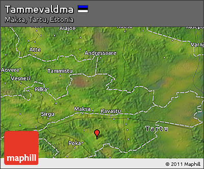 Satellite 3D Map of Tammevaldma