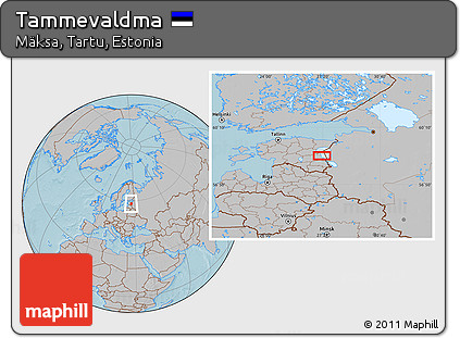 Gray Location Map of Tammevaldma, hill shading