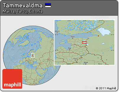 Savanna Style Location Map of Tammevaldma, hill shading