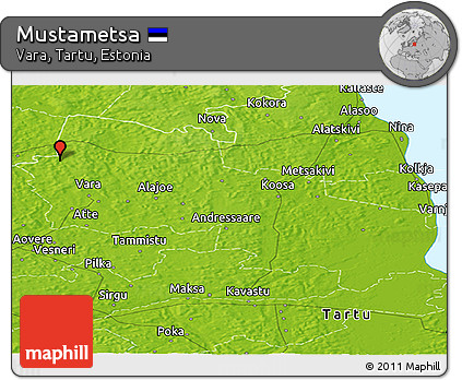 Physical Panoramic Map of Mustametsa