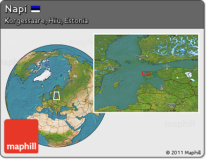 Satellite Location Map of Napi