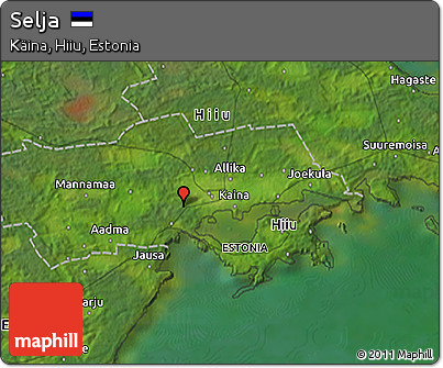 Satellite 3D Map of Selja