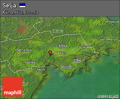 Satellite 3D Map of Selja