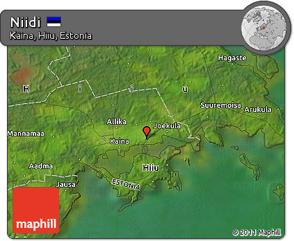 Satellite Map of Niidi