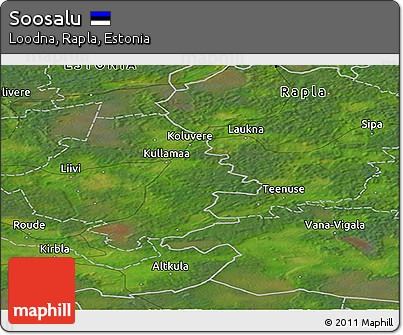 Satellite Panoramic Map of Soosalu