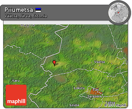 Satellite 3D Map of Piiumetsa