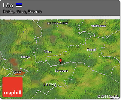 Satellite 3D Map of Lõo