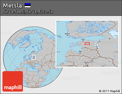 Gray Location Map of Metsla