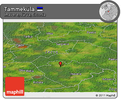 Satellite Panoramic Map of Tammeküla