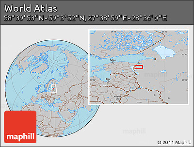 Gray Location Map of the Area around 58° 51' 53" N, 28° 7' 30" E