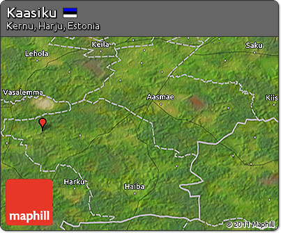 Satellite 3D Map of Kaasiku