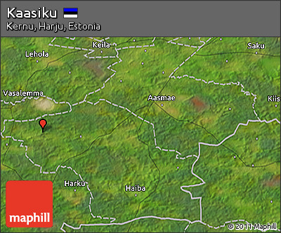 Satellite 3D Map of Kaasiku