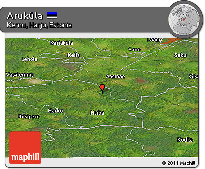 Satellite Panoramic Map of Aruküla