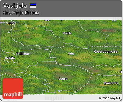 Satellite Panoramic Map of Vaskjala