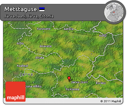 Satellite 3D Map of Metstaguse