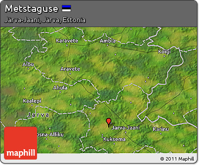 Satellite 3D Map of Metstaguse