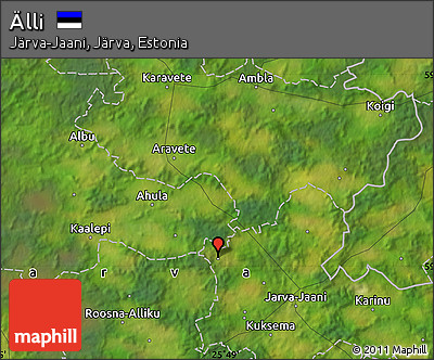 Satellite Map of Älli