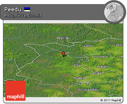 Satellite Panoramic Map of Peedu