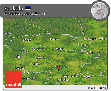 Satellite Panoramic Map of Seliküla