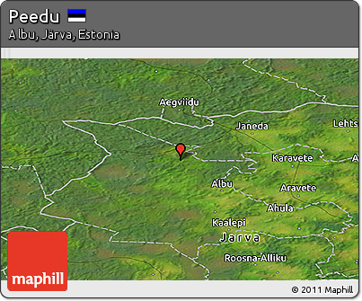 Satellite Panoramic Map of Peedu