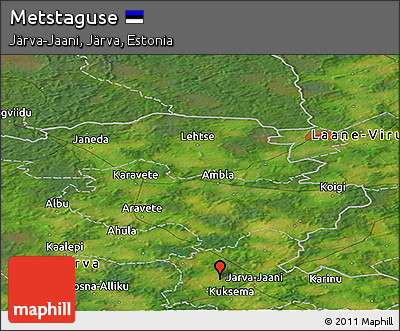 Satellite Panoramic Map of Metstaguse