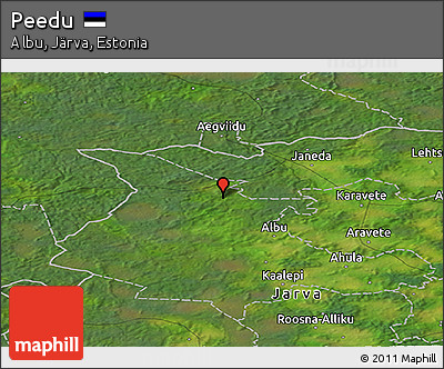 Satellite Panoramic Map of Peedu