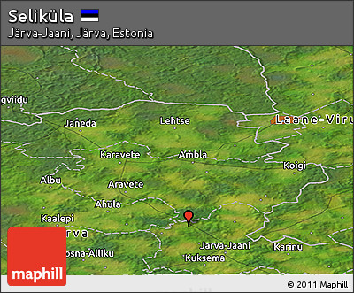 Satellite Panoramic Map of Seliküla