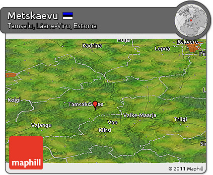 Satellite Panoramic Map of Metskaevu