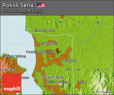 Physical Map of Pokok Sena