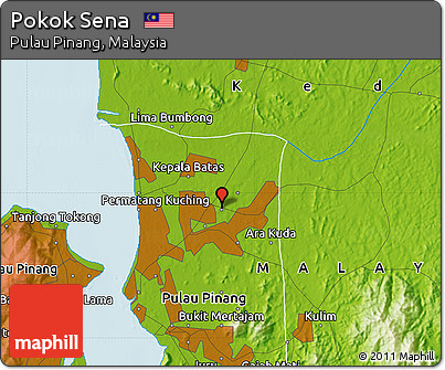 Physical Map of Pokok Sena