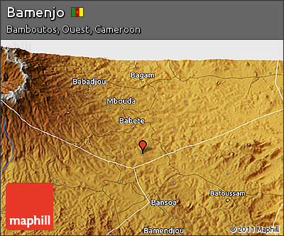 Physical 3D Map of Bamenjo