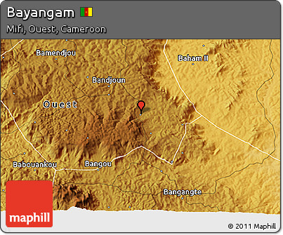 Physical 3D Map of Bayangam