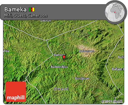 Satellite 3D Map of Bameka