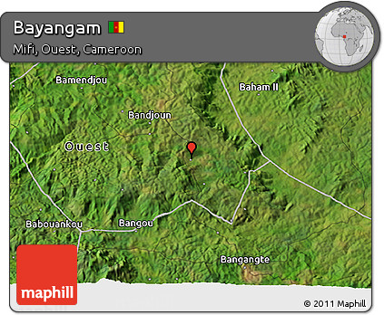 Satellite 3D Map of Bayangam