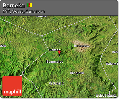 Satellite 3D Map of Bameka