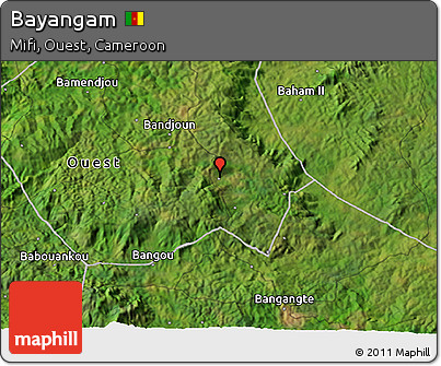 Satellite 3D Map of Bayangam